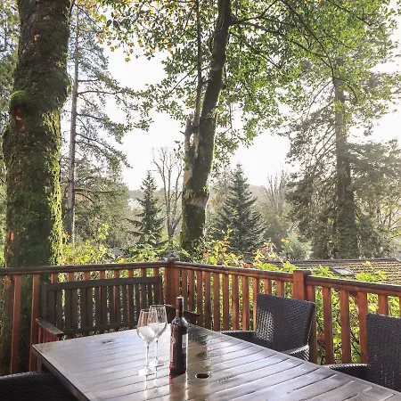 Treetops