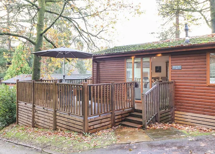 Treetops ويندرمير