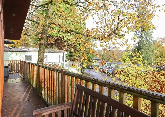 Treetops ويندرمير